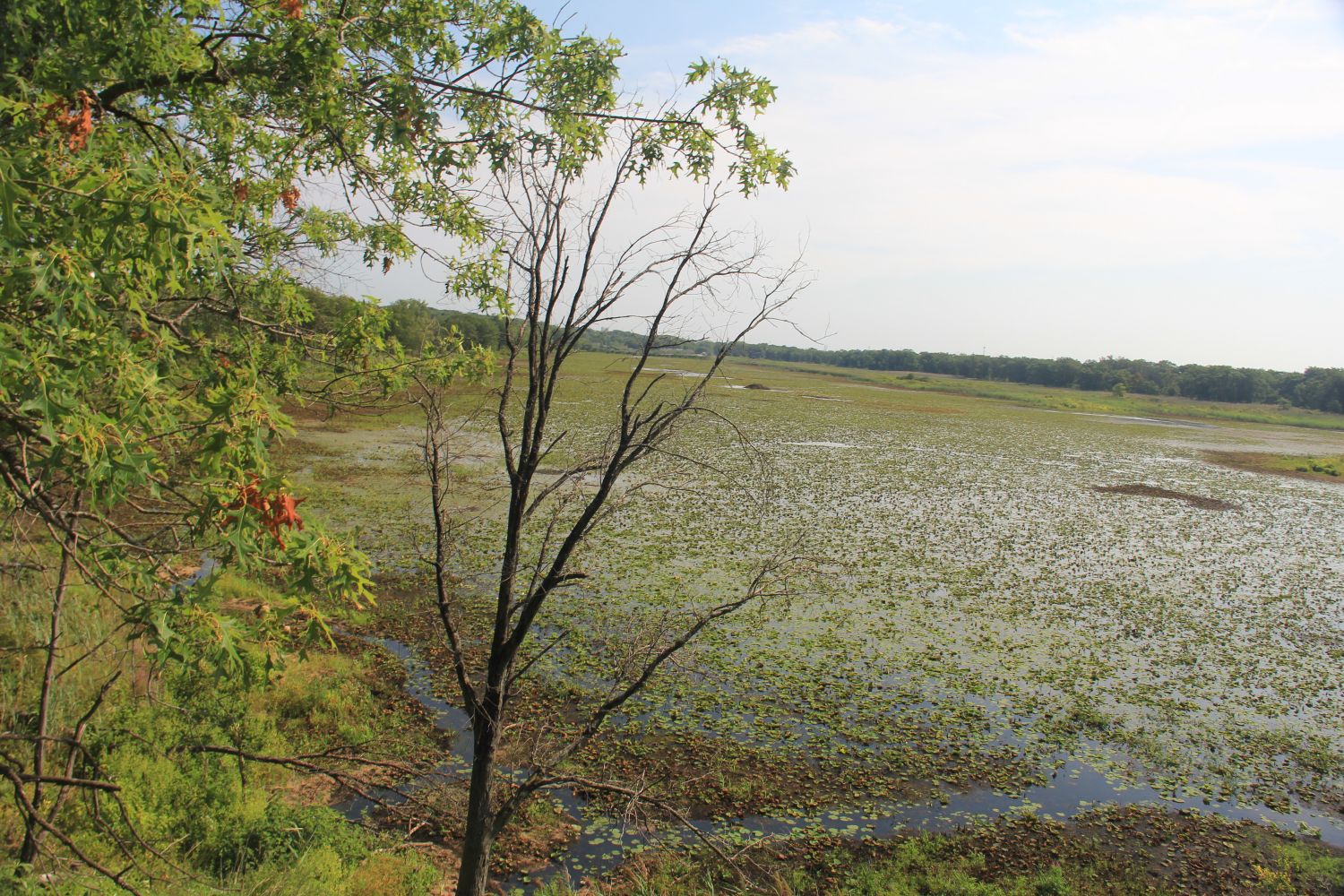 West Beach and Long Lake Trails 